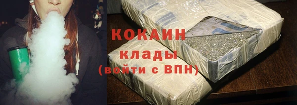 молекула духа Козельск
