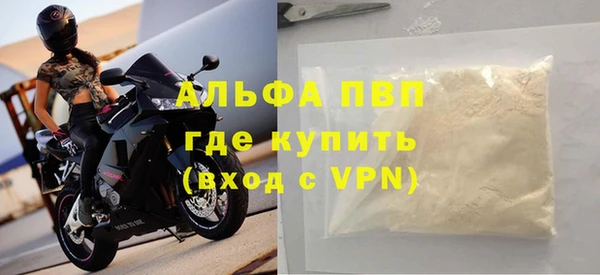 молекула духа Козельск
