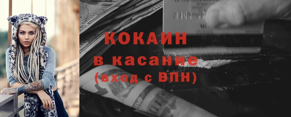 молекула духа Козельск