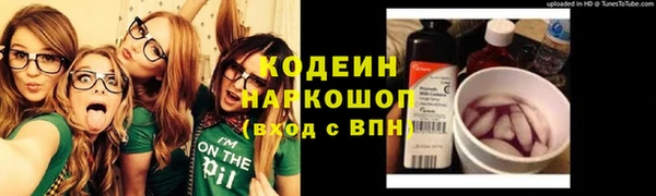 молекула духа Козельск