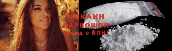 молекула духа Козельск