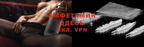 молекула духа Козельск