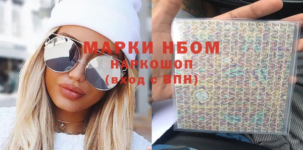 молекула духа Козельск