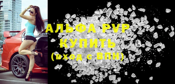 молекула духа Козельск