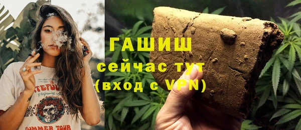 молекула духа Козельск