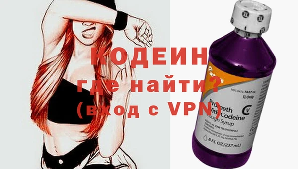 молекула духа Козельск